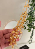 Kashmiri Paranda
