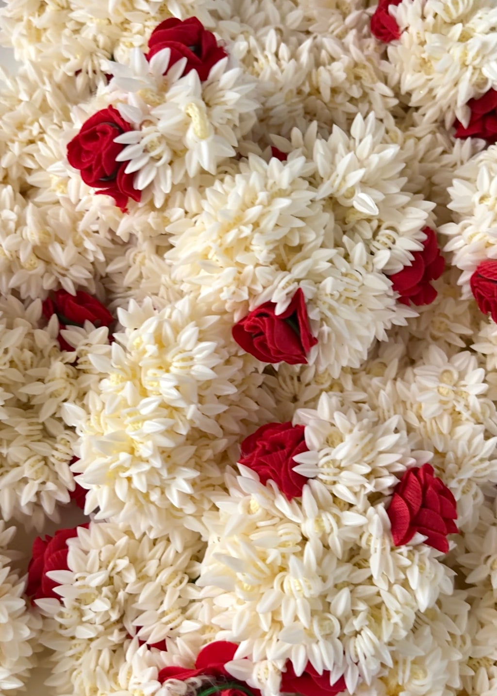 ROSE GAJRA